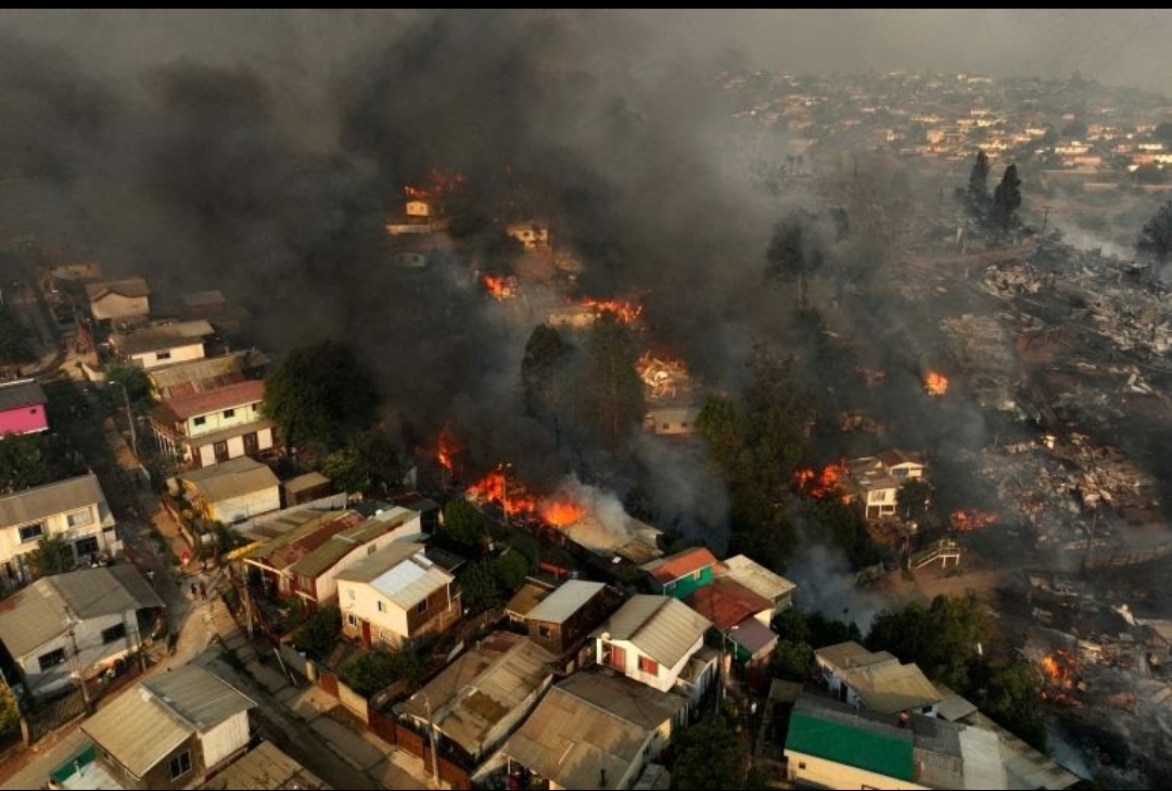 Kebakaran Hebat di Hutan Chile, 51 Orang Tewas