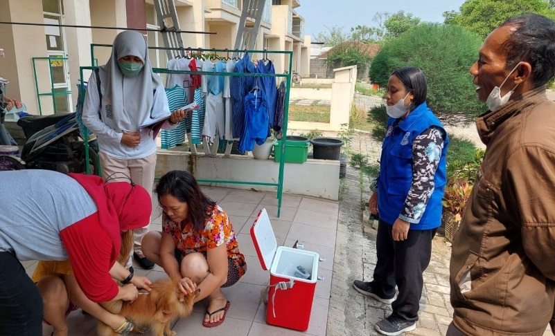 Ratusan Hewan Peliharaan di Kabupaten Tangerang Jadi Target Vaksin Rabies