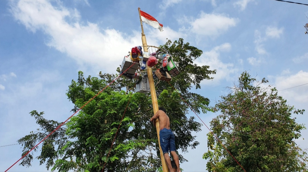 Serunya Panjat Pinang Anak-Anak di Bekasi Dalam Memperingati HUT Ke-78 Republik Indonesia