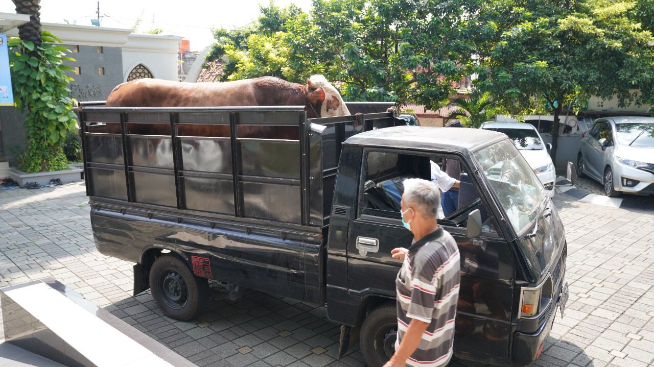 Jelang Iduladha, Brantas Abipraya Salurkan 31 Hewan Kurban ke Seluruh Indonesia
