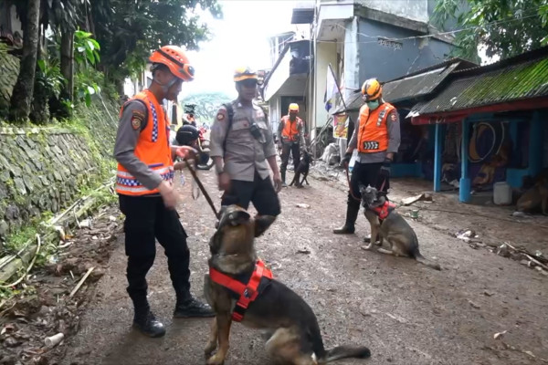 40 Warga Tertimbun Longsor Cianjur, 10 Anjing Pelacak Dikerahkan Cari Korban 