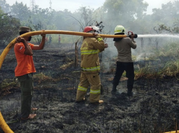 Kebakaran Hutan Melanda Kepulauan Seribu, Api Cepat Membesar karena Tertiup Angin Kencang