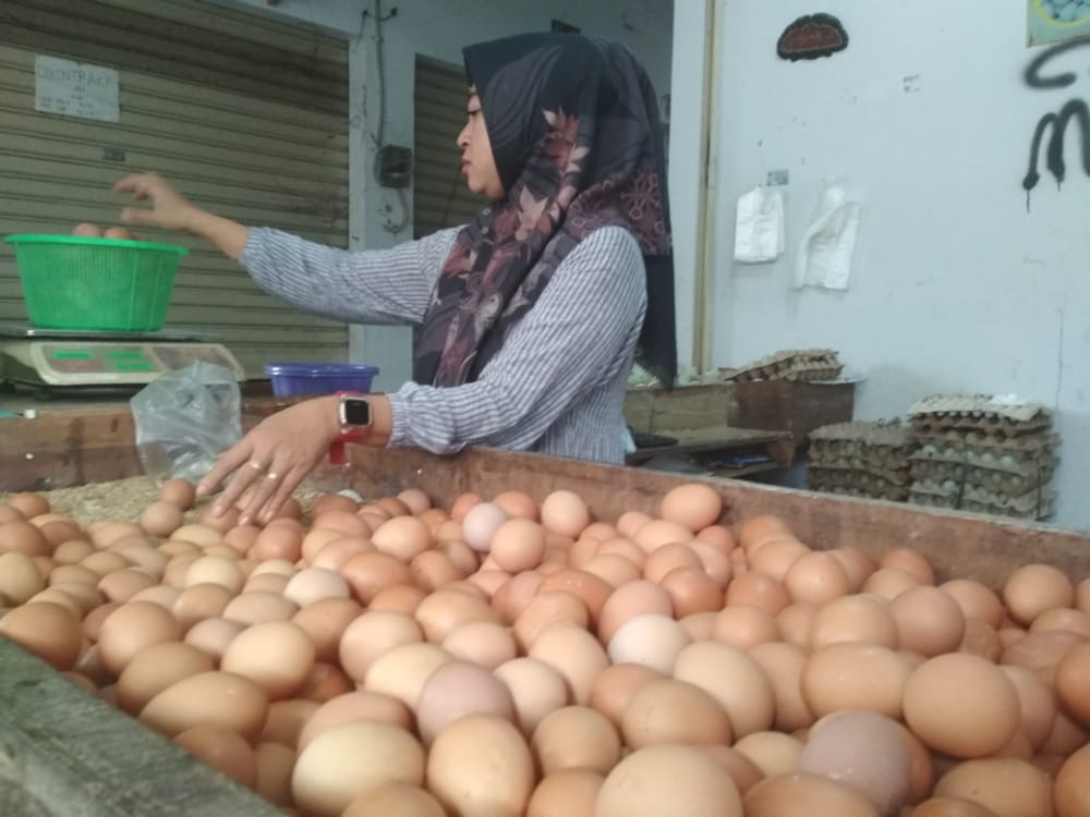 Jokowi Ungkap Penyebab Harga Telur Ayam Melonjak