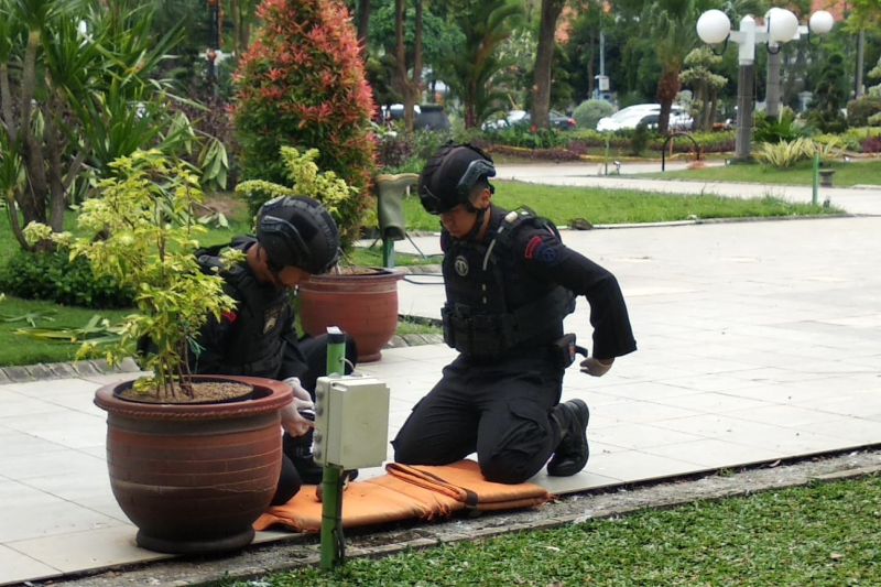 Granat Nanas Ditemukan di Taman Surya Balai Kota Surabaya