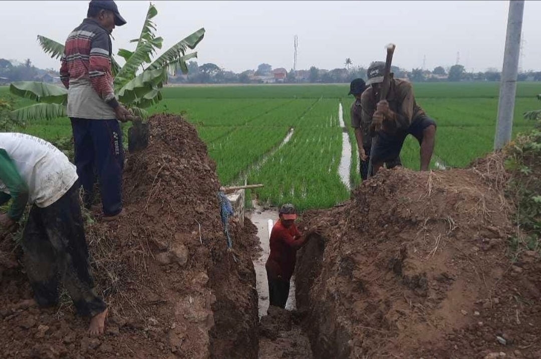 Tanggulangi Kekeringan Lahan Pertanian, Sungai di Kabupaten Bekasi Dinormalisasi