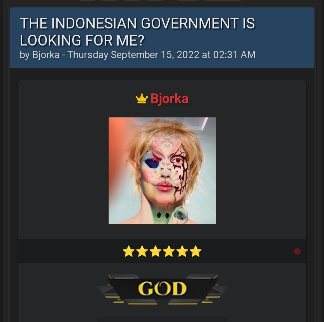 Tanggapi Penangkapan Pemuda Madiun, Hacker Bjorka Sebut Pemerintah Indonesia Idiot
