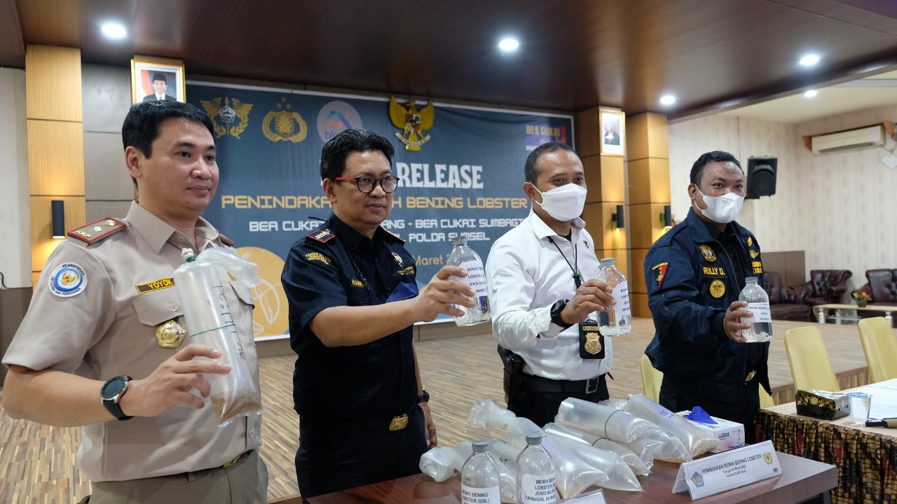 Sinergi Bea Cukai dan Kepolisian Gagalkan Penyelundupan Ratusan Ribu Benih Lobster Senilai Rp18,6 Miliar