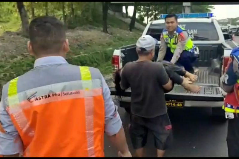Puncak Arus Balik Lebaran Telan Korban, 3 Orang Tewas di Tol Cipali KM 153