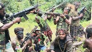 KKB Papua Kembali Serang Warga Sipil, 1 Tewas, 1 Luka Sabetan Golok