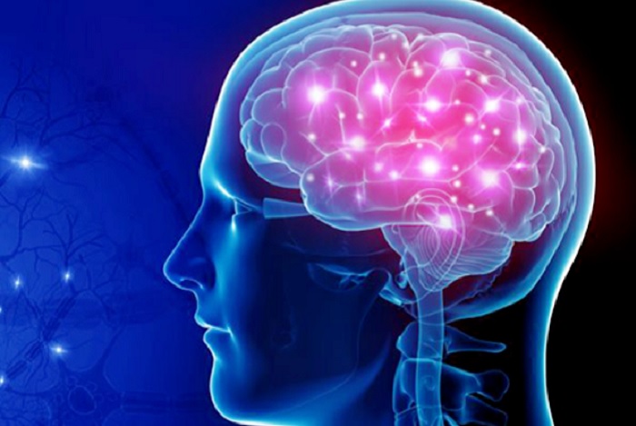 Agar Otak Tidak Sering Lupa, Dokter Bilang Penuhi Empat Bahan Baku Ini