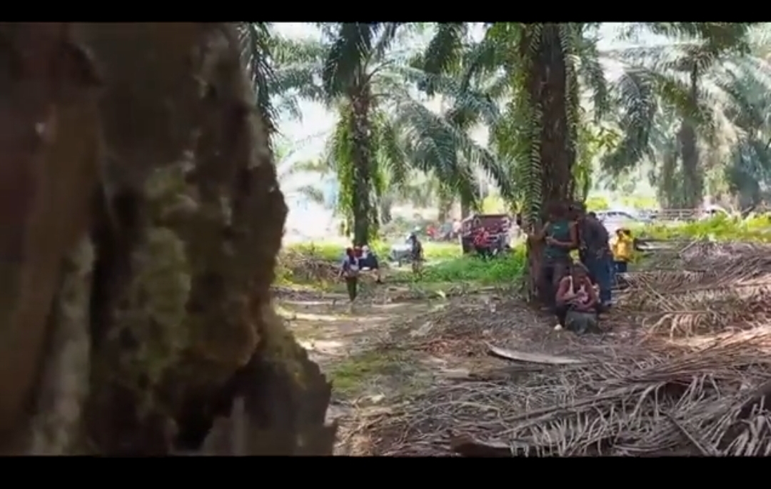 Bak Medan Perang, Video Warga Bangkal Diberondong Peluru Aparat, Satu Orang Tewas!
