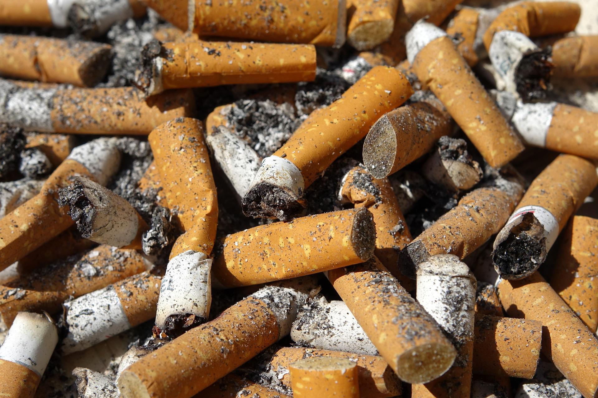 Ternyata Nikotin Bermanfaat bagi Tubuh, Begini Penjelasan Ahli Toksikologi