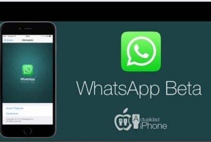 Update Terbaru Link WhatsApp Beta APK! Banyak Fitur Andalan dan Anti Banned