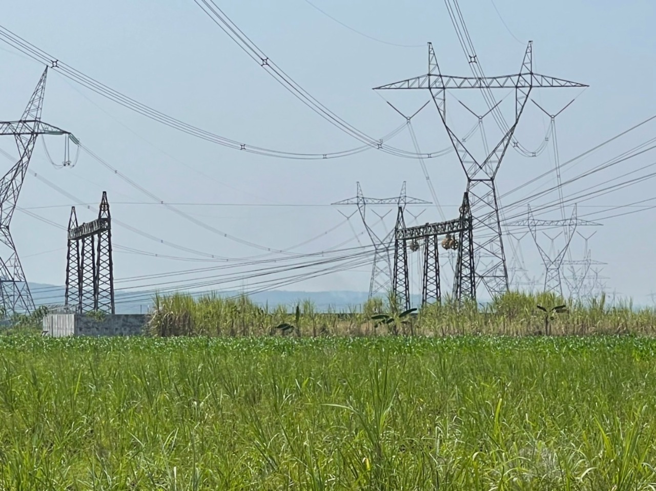 PLN Rampungkan Transmisi Listrik 150 kV Jatigedong-Ngimbang di Lamongan, TDKN Capai 73,88 Persen 