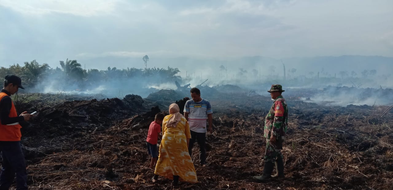 Di Konferensi Iklim PBB, Menteri LHK: Indonesia Berhasil Mencegah Kebakaran Hutan Penyebab Kabut Asap   