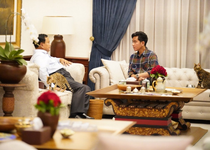 Gibran: Urusan Menteri, Jokowi Cuma Kasih Saran, Keputusan Ada di Prabowo