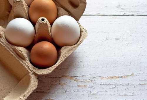 Apa Telur Ayam yang Beda Warnanya Beda juga Kualitasnya? 