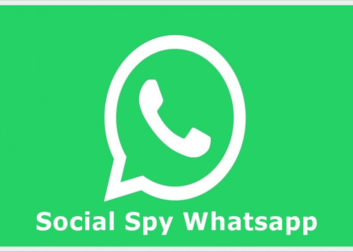 Cara Gunakan Social Spy WhatsApp: Hanya Masukkin No Mantan, Langsung Terbongkar Isi Chat WA