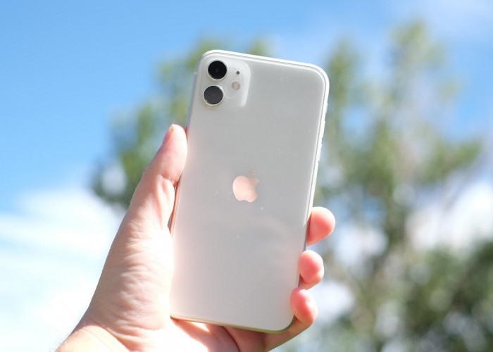 iPhone 11 Potong Harga 500 Ribu Pada November 2023, Cek Spesifikasinya