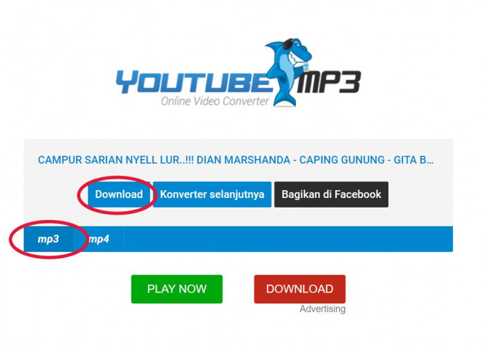 Cara Download Mp3 dari Youtube Pakai YT Convert, Mp4 to Mp3 Free