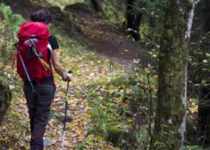 Bahaya Kaos Katun di Jalur Pendakian: Kenali Sebelum Berangkat