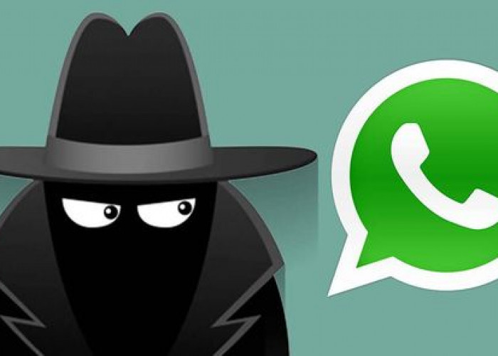 Cara Sadap WhatsApp Pacar Dengan Aplikasi SocialInfo, Bisa Langsung Login!