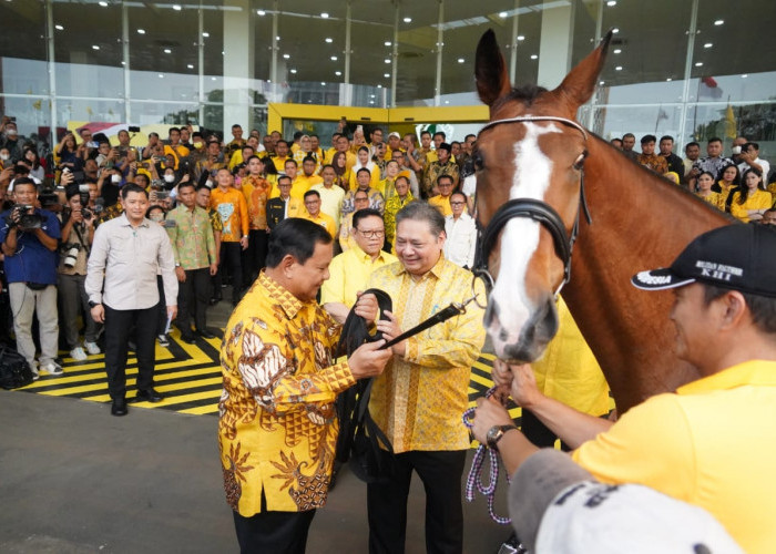 Airlangga Hartarto Kasih Kuda Jantan ke Prabowo Subianto, Ketum Golkar: Sesuai dengan Sunah Nabi