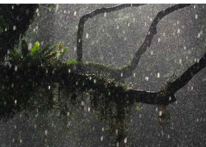 BBMKG Minta Warga Waspadai Hujan Lebat Disertai Angin Kencang dan Petir di Sumut