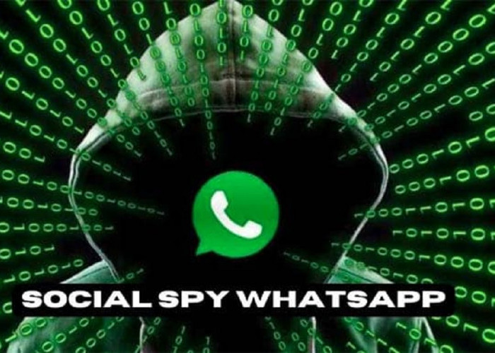 Social Spy WhatsApp: Aplikasi Untuk Sadap Percakapan dan Riwayat Panggilan WA Target Dari Jarak Jauh