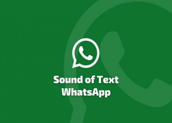 Tips Mengganti Ringtone Notifikasi WhatsApp dengan Mudah, Pakai Aplikasi Ini!