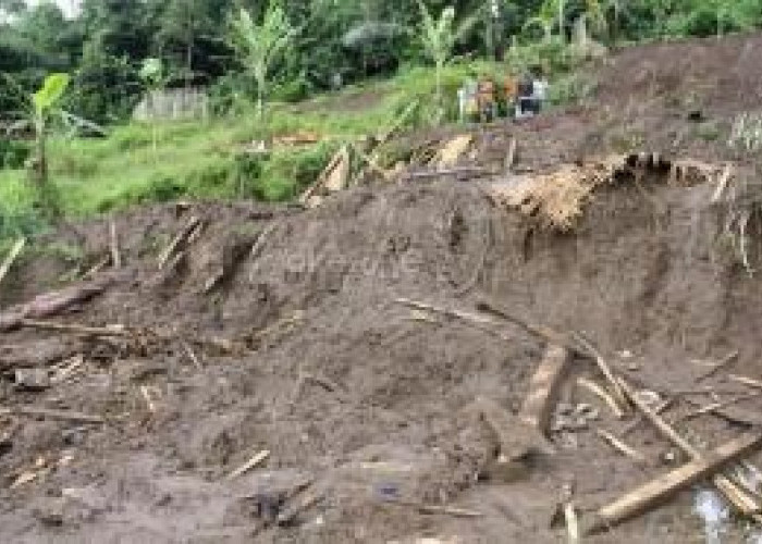 Longsor di Natuna, 27 Rumah Tertimbun, 42 Orang Hilang