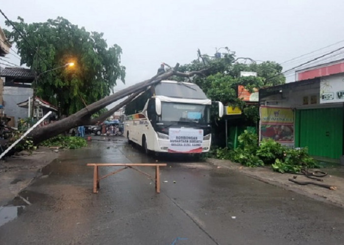 Bus Relawan Gerakan Nusantara Bersatu Tertimpa Pohon di Kota Bekasi