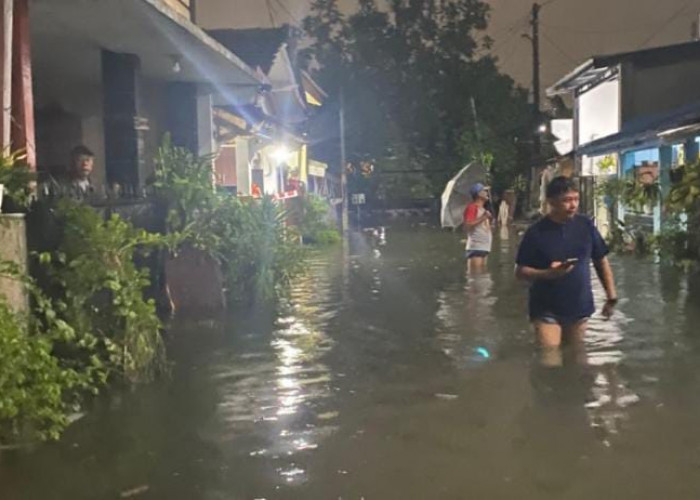 BPBD DKI Catat 5 RT Masih Terendam Banjir Akibat Hujan Deras
