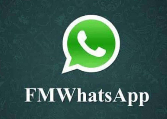 Link Download FM WhatsApp Apk Terbaru, GB WA Mod Paling Stabil dan Diburu