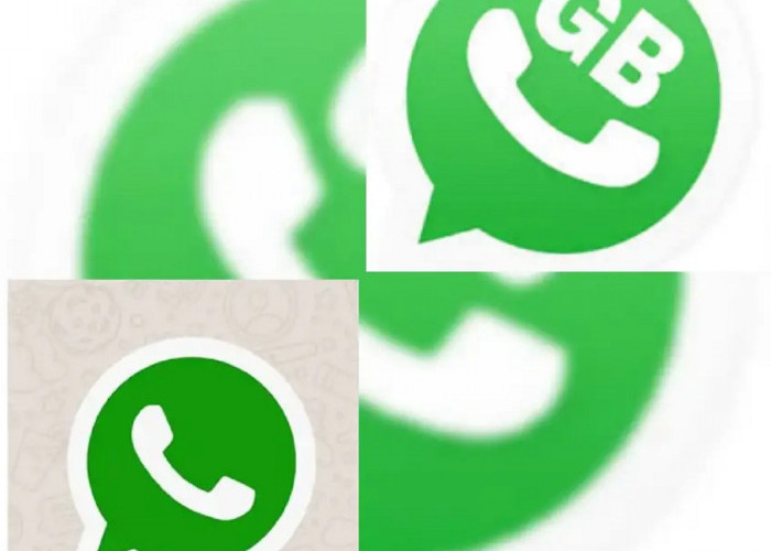 Link Download GB WhatsApp v13.50, GB WA yang Tersedia Ribuan Tema Menarik
