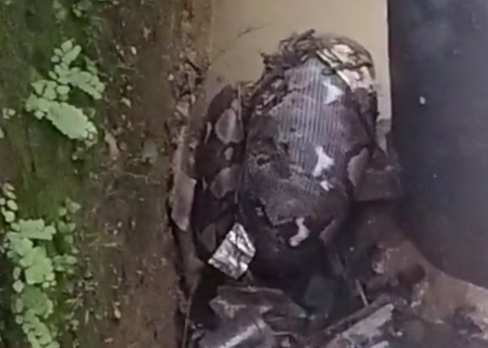 Ular Piton Sepanjang 4 Meter Ditemukan di Pemukiman Warga Bekasi, Rescue: Sudah Bisa Memangsa Balita