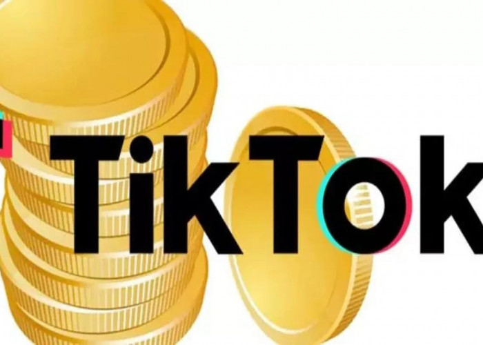 TikTok Shop Dilarang di Indonesia, Timbulkan Kebingungan antara Platform E-Commerce dan Sosial Media