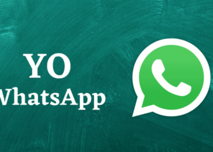 Link Download Yo WhatsApp Apk V12.50 Terbaru, Versi WA MOD Paling Stabil dan Anti Banned
