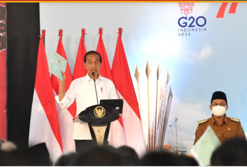Pesan Jokowi ke Menteri ATR/BPN: Kalau Masih Ada Mafia Gebuk!