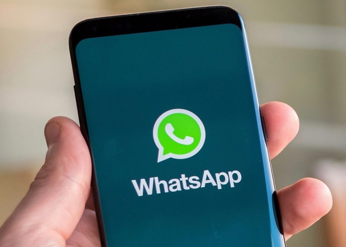 Link Download WhatsApp Mod APK Terbaru, Memiliki 16 Fitur Menarik