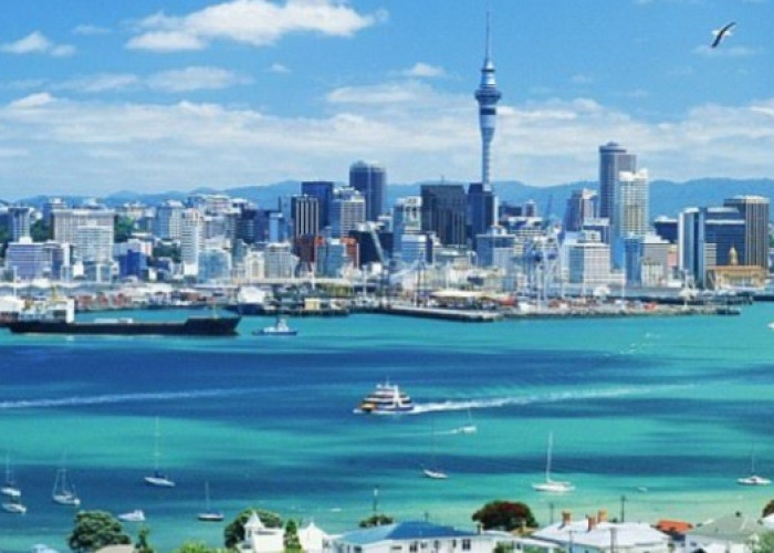 7 Tips Liburan ke Selandia Baru, Catat untuk Persiapan Berangkat!