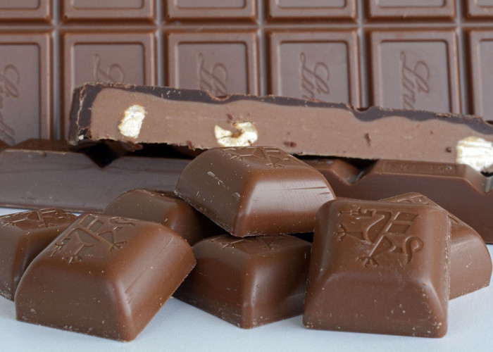 Macam-macam Coklat yang Ada di Dunia Ini, Mana yang Paling Enak?