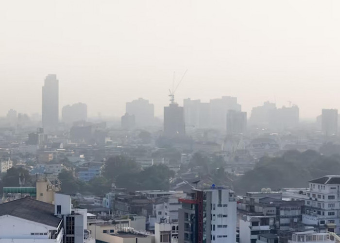 Terungkap! Ternyata Ini Penyebab Polusi Udara di DKI Jakarta
