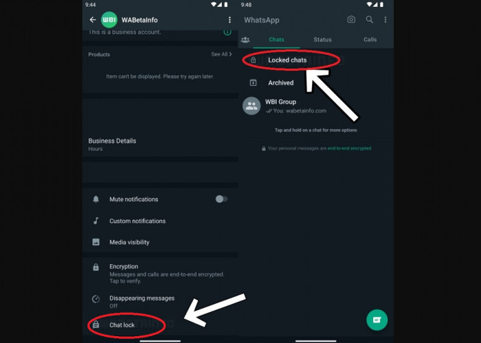 WhatsApp Beta Terbaru untuk Android, Ini 3 Fitur Updatenya, Ada Chat Lock Pakai Sidik Jari
