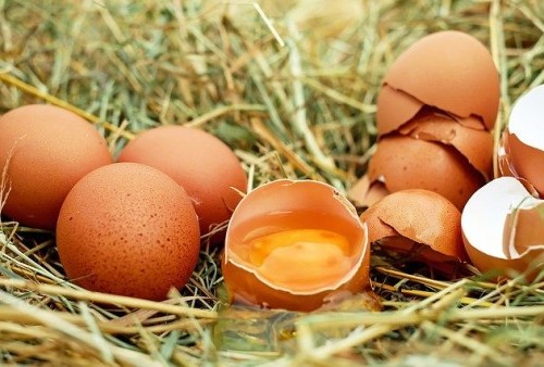5 Manfaat Putih Telur yang Sering Diabaikan, Ternyata Punya Kandungan Anti Kanker Lho!