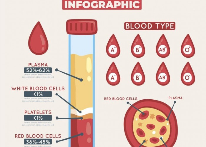 4 Hubungan Golongan Darah dengan Kesehatan dan Risiko Penyakit