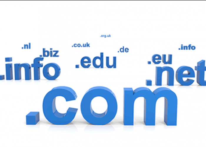 Ingin Beli Domain Untuk Bisnis Anda? Simak Penjelasan Berikut