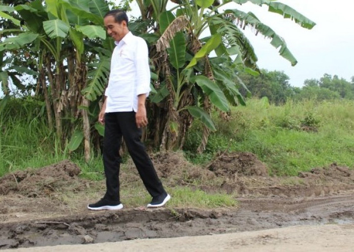 Disindir Jokowi, Gubernur Lampung Bilang Jalanan Rusak karena Tonase Kendaraan