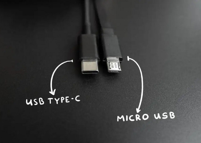 Perbedaan Mencolok Kabel Data Micro USB dan USB Type C