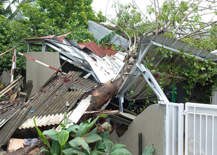 BPBD Kabupaten Bekasi Imbau Masyarakat Waspada Angin Puting Beliung Beberapa Hari ke Depan